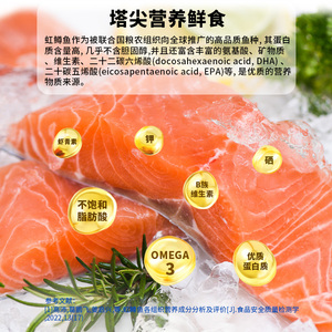 鳟悦礼盒天蕴新疆三文鱼新疆鱼块虹鳟鱼生鲜节日礼品年货礼盒