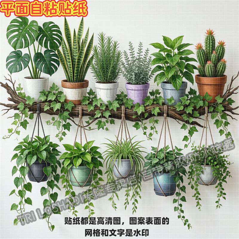 图3