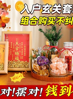 家居玄关入户摆件肉桂生财粗盐净宅大颗粒电视餐边柜招财客厅装饰