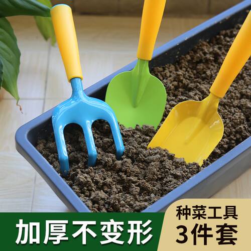家庭阳台小学生幼儿园蔬菜种植挖土家用园艺配套种菜工具 - 图2