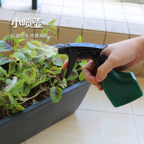 家庭阳台小学生幼儿园蔬菜种植挖土家用园艺配套种菜工具 - 图3
