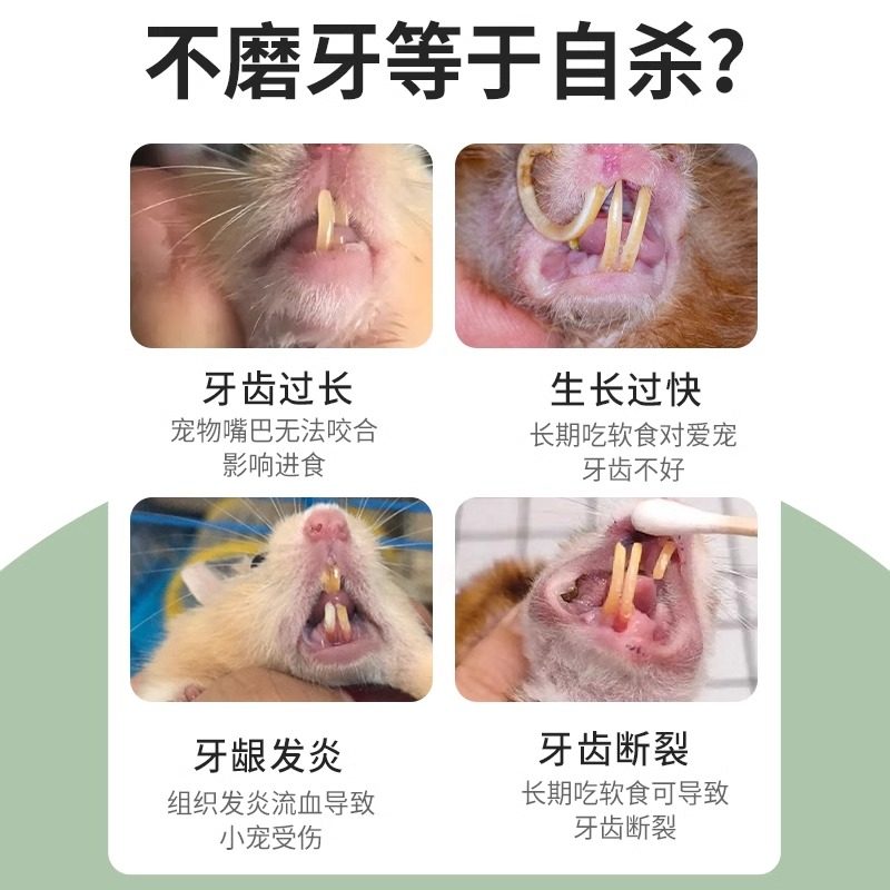 金丝熊仓鼠磨牙棒苹果枝小零食专用可食用解闷自嗨造景用品大全,淘宝优惠券,粉丝福利购,淘宝优惠卷