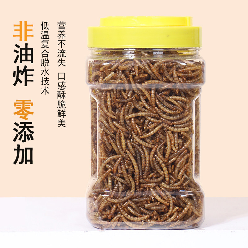 仓鼠粮食营养主粮面包虫干零食金丝熊磨牙专用小零食饲料必备用品,淘宝优惠券,粉丝福利购,淘宝优惠卷