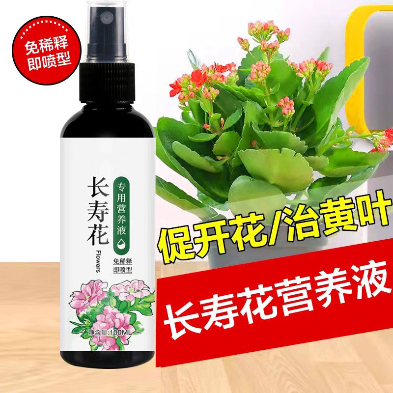 长寿花专用肥料营养液盆栽植物室内绿植养花通用氮磷钾复合花肥料