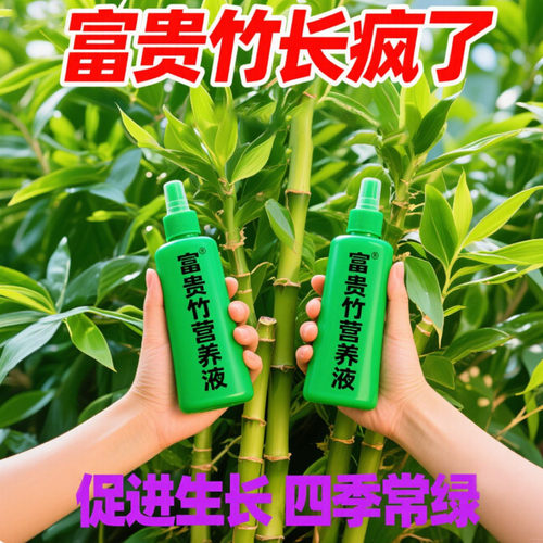 富贵竹专用营养液发财观音竹水培植物铜钱草绿通用盆栽养植营养液 - 图2