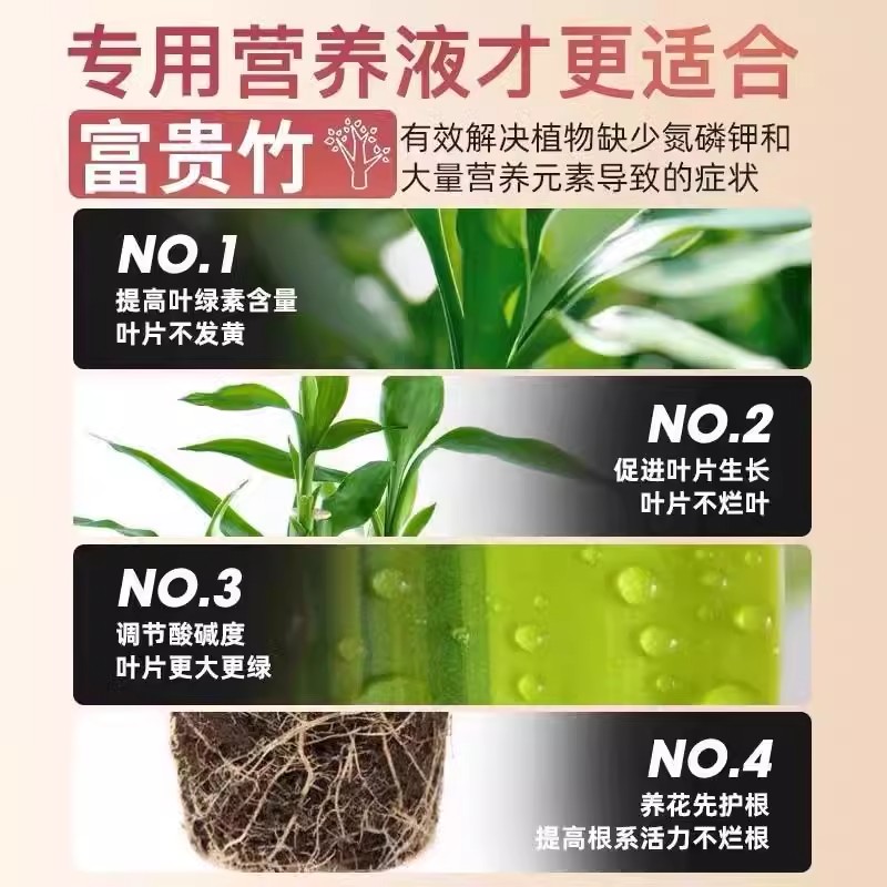 【拯救黄叶】专治叶子发黄烂根一喷绿水培植物液体肥富贵竹营养液