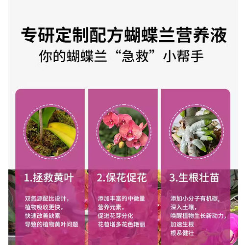 【爆箭王】蝴蝶兰专用营养液促花剑开花肥兰花盆栽免稀释专用肥料 - 图2