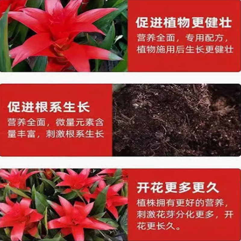 鸿运当头营养液治黄叶烂叶花失色促绿壮苗催花免稀释专用急救肥,淘宝优惠券,粉丝福利购,淘宝优惠卷