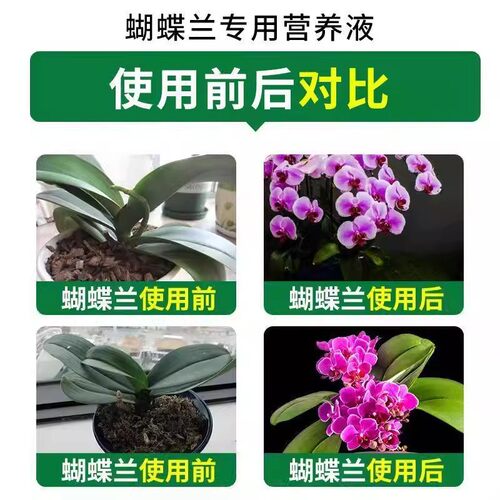 【爆箭王】蝴蝶兰专用营养液促花剑开花肥兰花盆栽免稀释专用肥料 - 图0