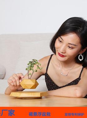 磁悬浮盆栽跨境工厂创意花盆盆景植物磁悬浮盆栽