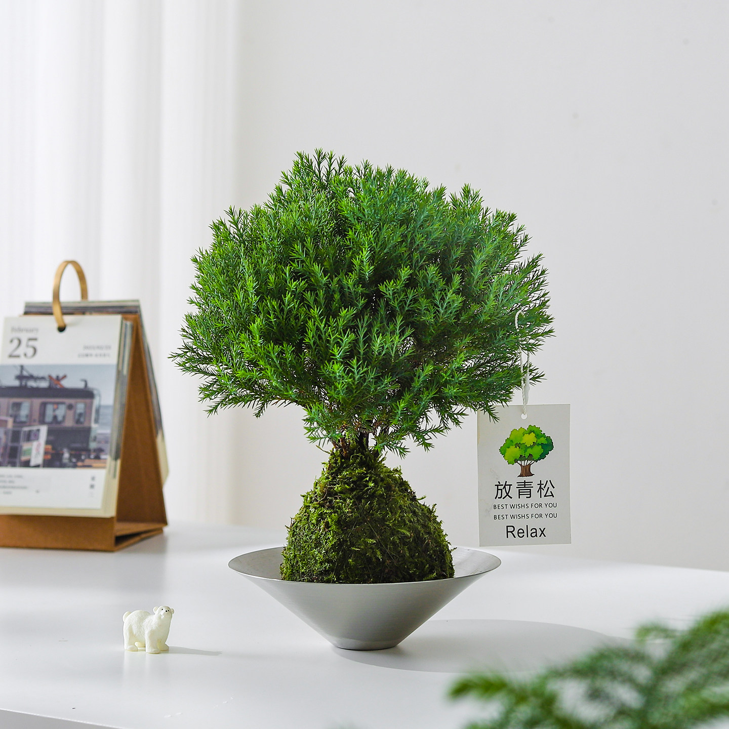 【放轻松】雾凇苔藓球盆栽室内客厅办公室桌面工位创意好养绿植,淘宝优惠券,粉丝福利购,淘宝优惠卷