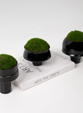 现代新中式永生仿真苔藓绿植盆景黑色小杯型创意摆件桌面样板间