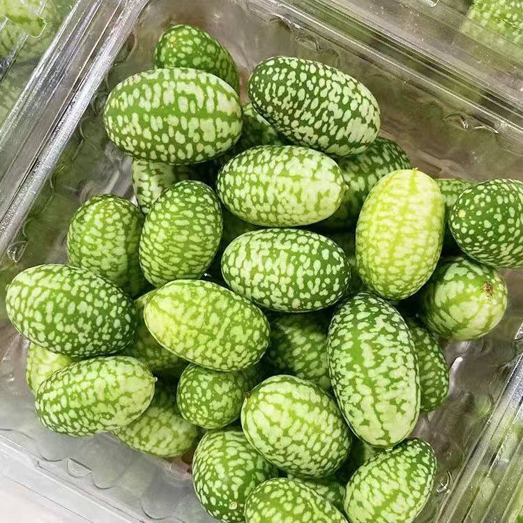 拇指西瓜鲜果迷你网红小西瓜特色水果新鲜孕妇水果稀奇品种,淘宝优惠券,粉丝福利购,淘宝优惠卷