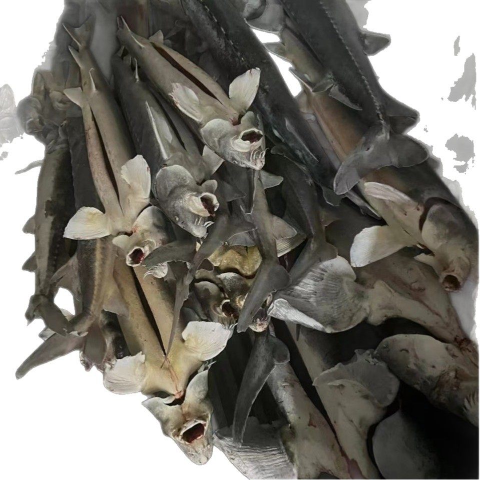 冷藏集装箱租赁移动冷库蔬菜水果肉类鱼虾保鲜冷冻库货柜冷链专用,淘宝优惠券,粉丝福利购,淘宝优惠卷