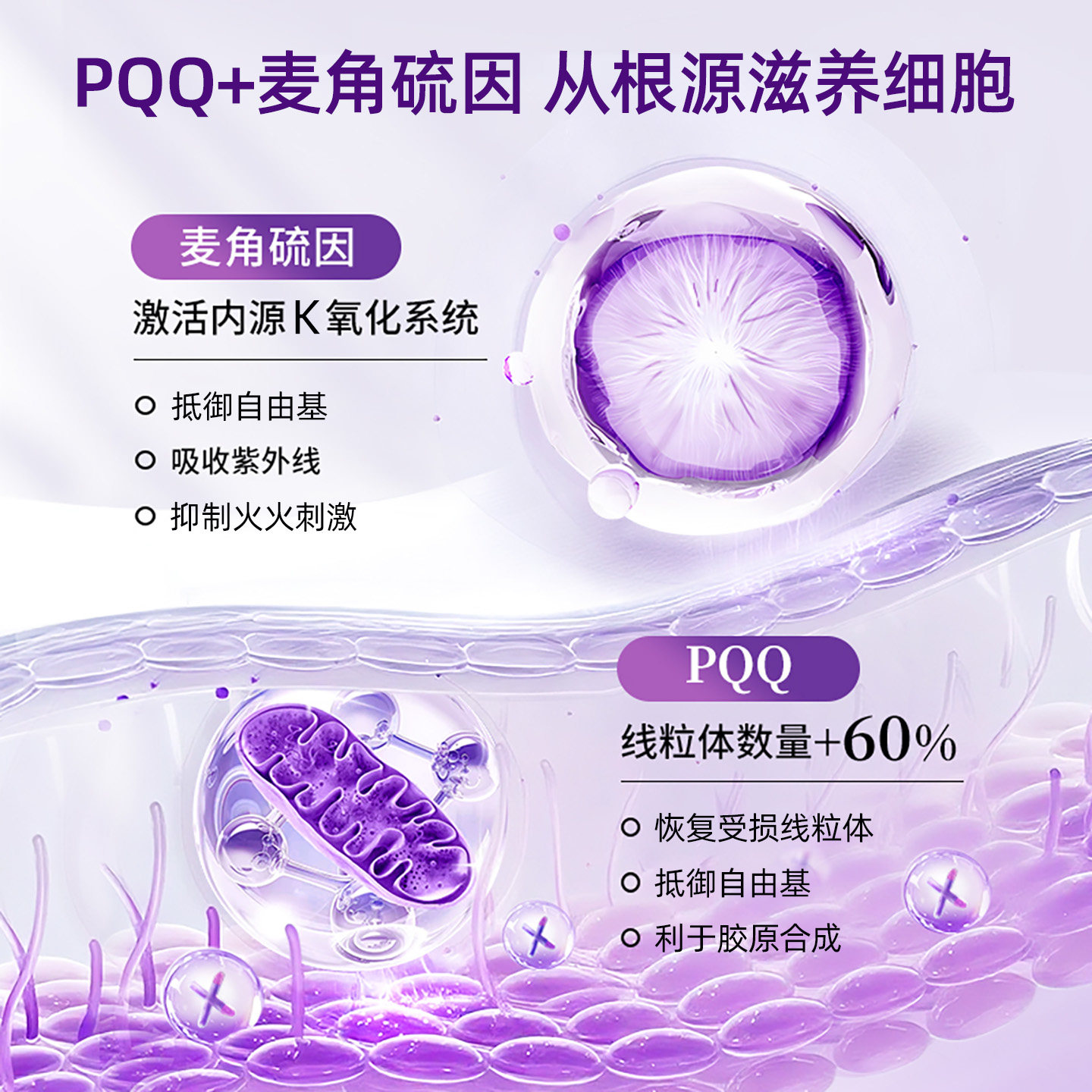 PrimeHarmony奥睿康驻颜瓶PQQ麦角硫因线粒体焕龄驻颜细胞营养素