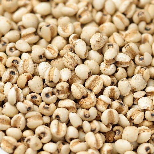 茯苓5炒薏米10陈皮3g克薏苡仁橘皮养生茶原料泡茶免煮无硫可定制 - 图1
