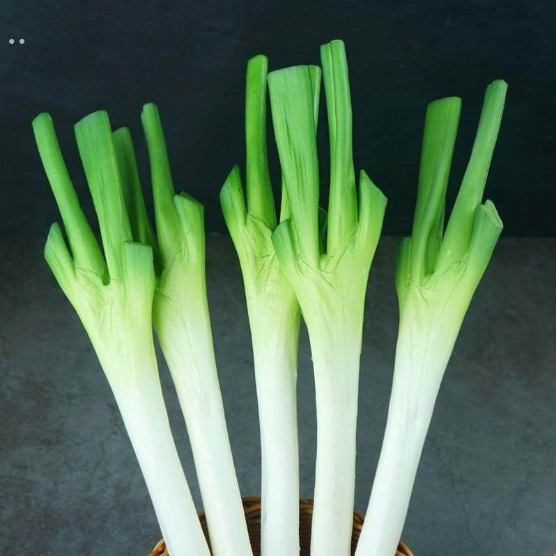 仿真大葱假山东葱蔬菜模型装饰菜品玩具儿童认知果蔬儿童早教道具,淘宝优惠券,粉丝福利购,淘宝优惠卷