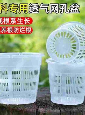 兰花盆栽简约方盆加厚透气塑料花盆控根盆蝴蝶兰定植篮洋兰水培篮