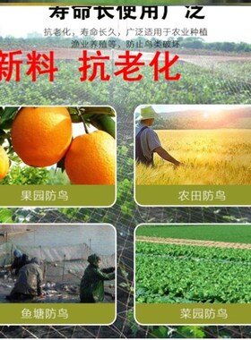 水果树保护网防虫网罩防鸟果园尼龙网麻防网雀养殖网葡萄架网天网