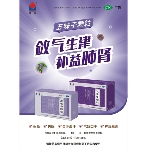 [武都] 五味子颗粒 10g*10袋/盒 头晕失眠盗汗气短口干神经衰弱 - 图0