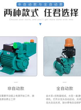 广东凌霄清水泵ZDB家用自吸泵高扬程220V自来水自动增压泵抽水泵