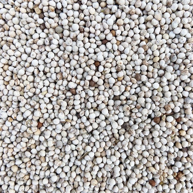 苏子白苏子软苏子鸟食鸟u粮 鹦鹉金丝雀芙蓉鸟黄雀 拍=5斤,淘宝优惠券,粉丝福利购,淘宝优惠卷