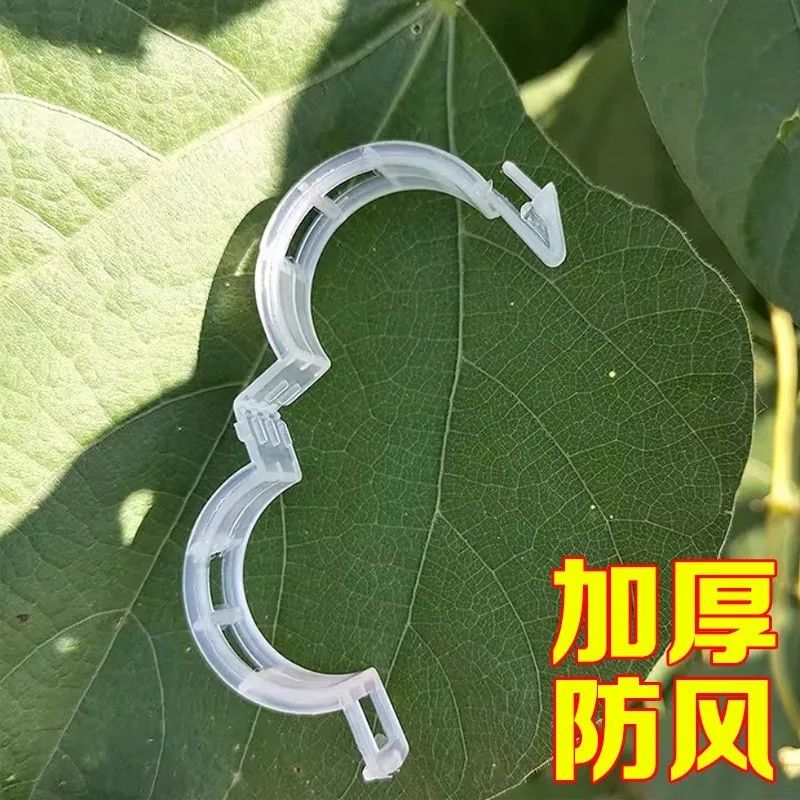 植物瓜果植物夹塑料绑蔓夹绑枝夹扶蔓夹吊蔓夹藤蔓扶蔓固定夹卡扣 - 图2