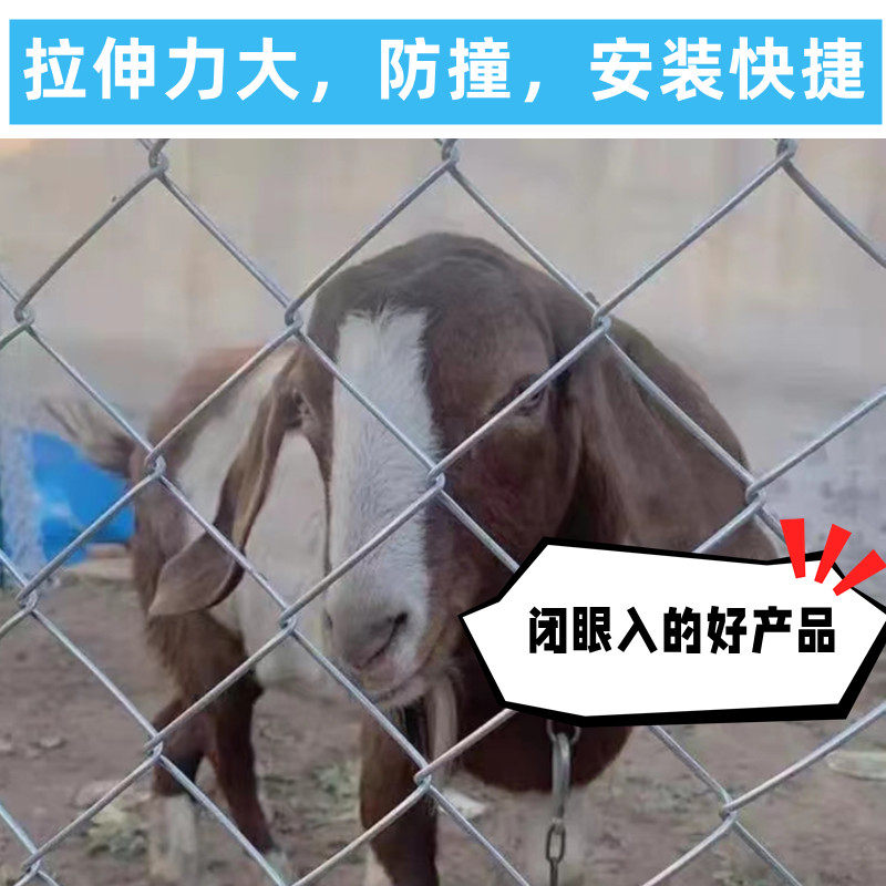 热镀锌铁丝网勾花网牛羊圈围栏圈地鱼塘防护网果园网钢丝网养殖网,淘宝优惠券,粉丝福利购,淘宝优惠卷