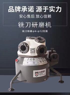台星智造端铣刀研磨机合金铣刀修磨机便携式电动铣刀磨刀机TX-A12