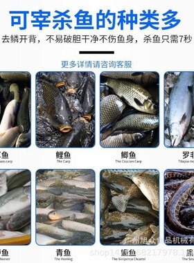 商用全自动杀鱼机活鱼去鳞开肚机黑鱼草鱼鲈鱼宰鱼机水产加工设备