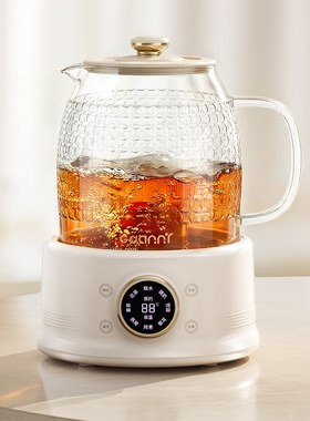 德国养生花茶壶全玻璃烧水煮茶器