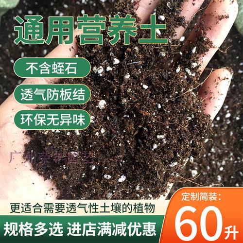 荣丰牌 港商定制简装60L 园艺花卉通用培养土 栽培土营养土花土 - 图2