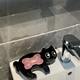 Soap box storage rack soap soap box cute Rongxiong water accumulation household drain dish black cat storage box ornament