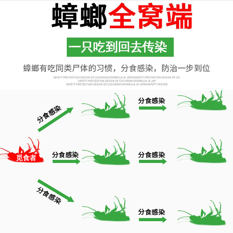 蟑螂药家用非无毒一窝全窝端硼酸小强灭绝曱甴粉餐厅专用饭店正品 - 图0