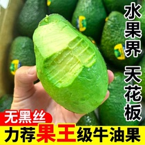Yunnan Bull Oil Fruits Fresh Fruits Hasmenlian 1st Grade Cattle Oil Fruits Domestic Big Fruits Avocado should be ready-to-eat