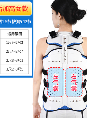 冠爱胸腰椎固定支具胸椎胸骨术后康复压缩性骨折脊椎柱腰背支架