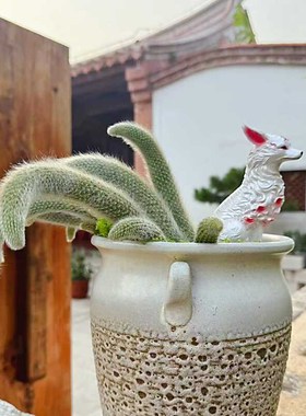 狐狸花盆摆d件九尾狐多肉猴尾柱阳台微景观户外花园庭院装饰防水