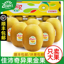 Authentic New Zealand Shine Golden Fruits Import Chieca Kiwi Kiwi Berry Original Box Fresh Yellow Zespri Paramon