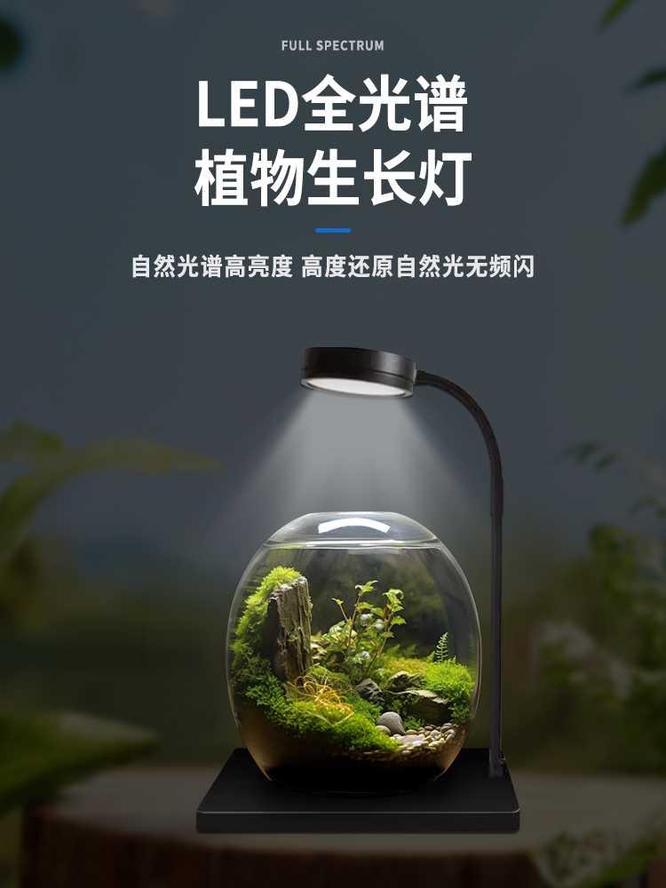 led微景观补光灯木板鱼缸灯桌面水族缸射灯多肉植物灯水草灯包邮