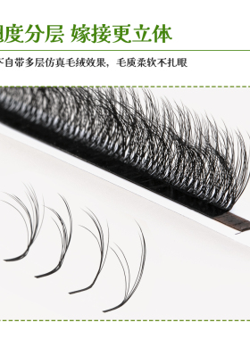 3D多层次山茶花LC睫毛