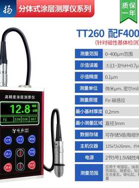 COY金属涂层测厚仪高精度两件式镀锌层防腐防火油漆厚度测量仪TT2