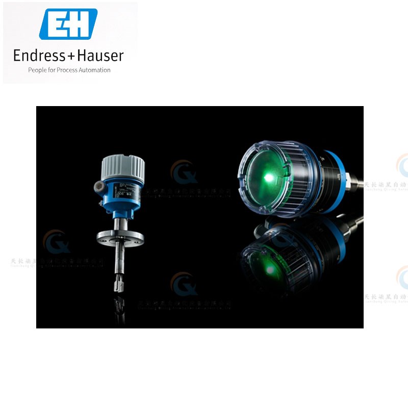 FTL41 FTL3h1 FTL33 FTL51B FTL62 FTL64  FTL51H音叉开关 E+H - 图3