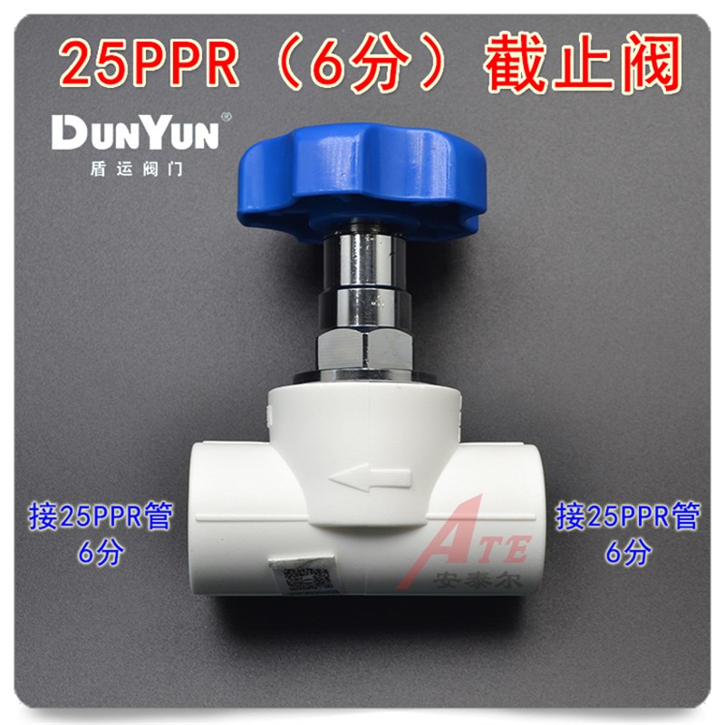 盾运4分20 6分25PPR水管管件配件家用自来水热熔暖气热水器活接头 - 图0