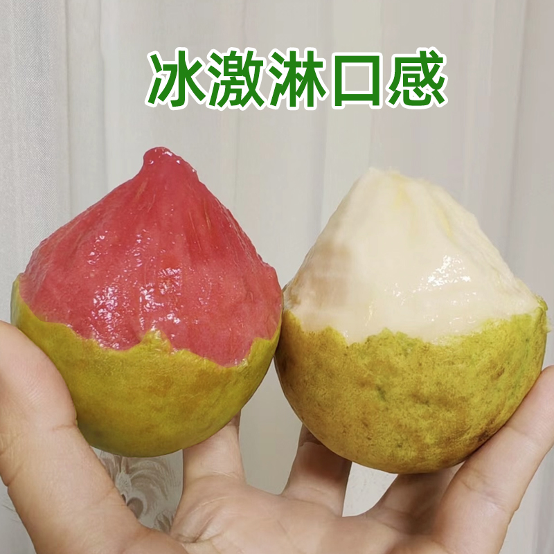 广西现货番石榴红白双拼组合奶油软糯香甜新鲜应季自然成熟芭乐果 - 图2