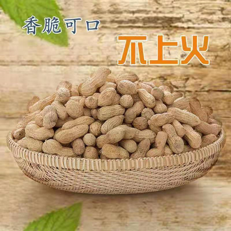 新花生农家铁锅炒花生带壳 现炒现发新货熟花生原味坚果零食 - 图1