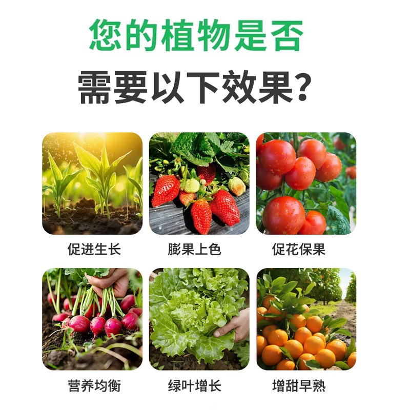 以色列进口大量元素水溶肥料蔬菜果树专用肥平衡高钾高磷农用正品,淘宝优惠券,粉丝福利购,淘宝优惠卷