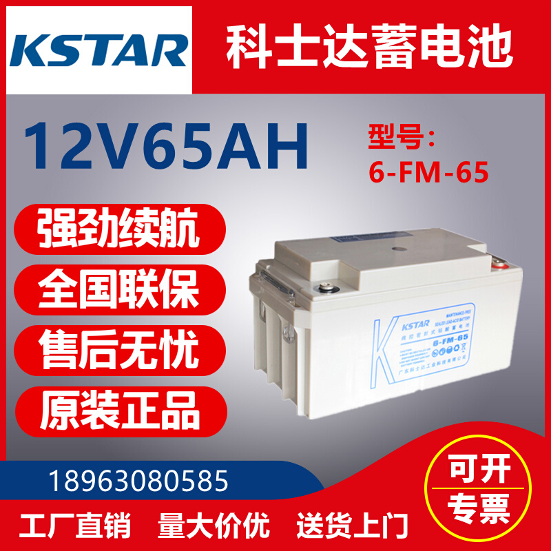 铅酸蓄电池6-FM-100 12V100AH65AH38AH24AH120AH150AH200AH - 图1