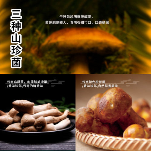 云南特产即食油鸡枞菌松茸牛肝菌子山珍香蕈香菇酱下饭菜小吃拌面 - 图2