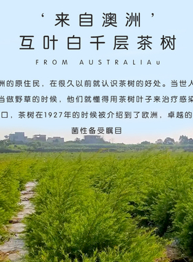 澳洲进口茶树单方精油