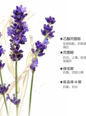 法国进口薰衣草单方精油